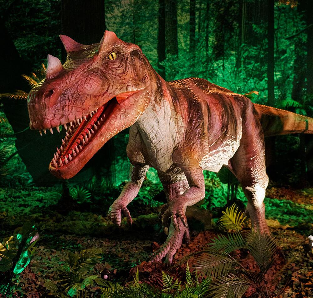 4 tickets World of Dino's Zandvoort t.w.v. € 80,00