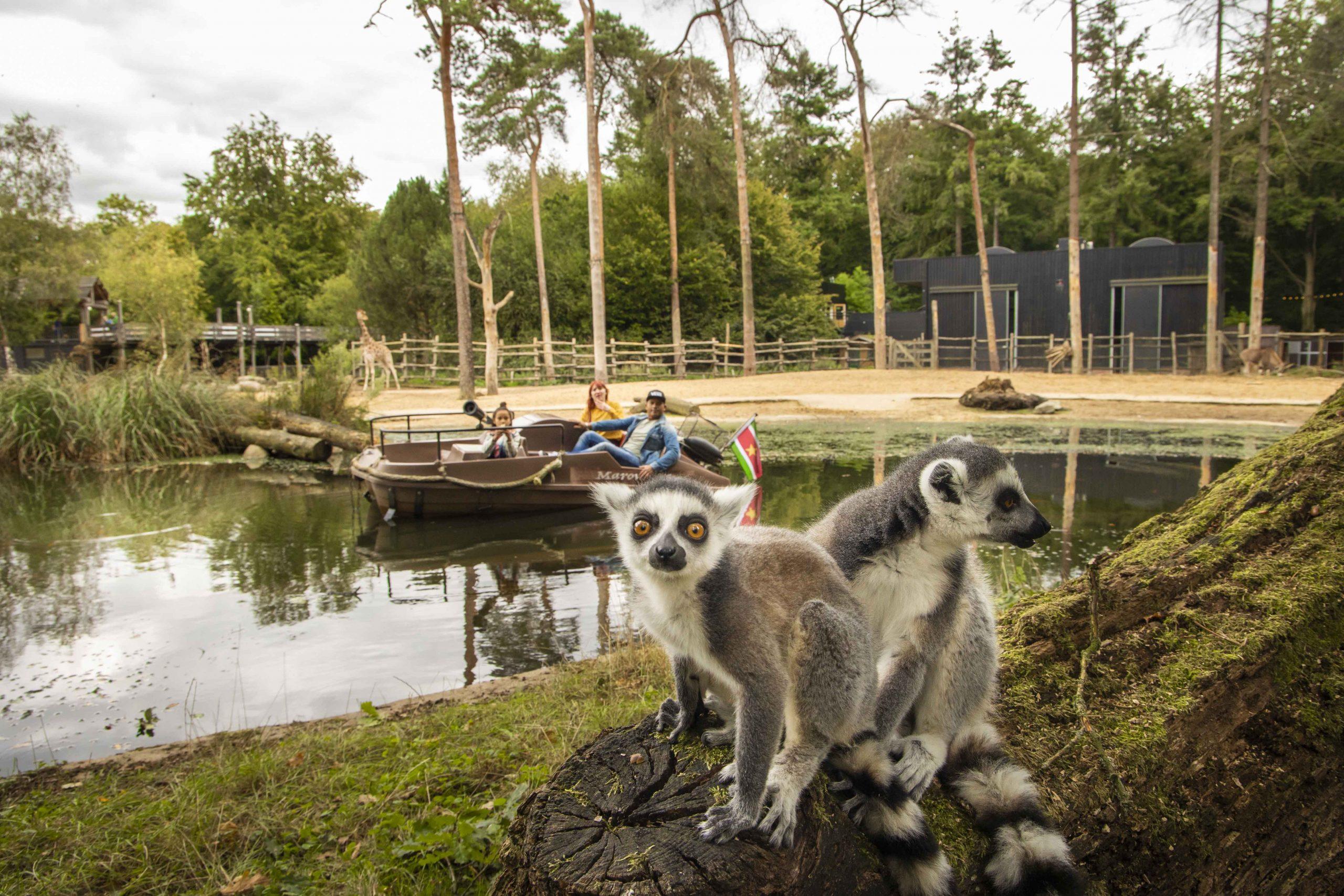 4 Tickets Dierenpark Amersfoort t.w.v. € 118,00