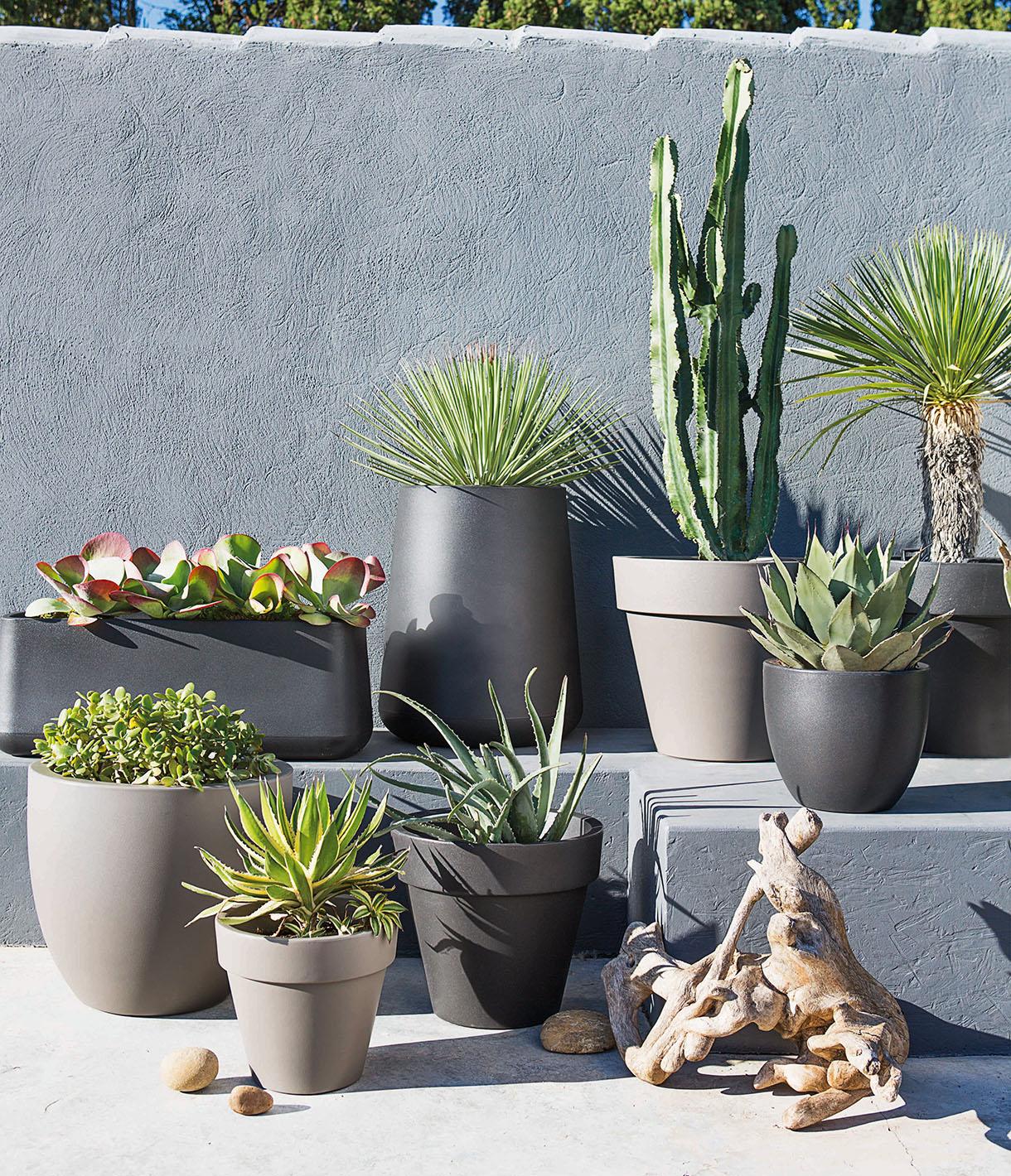 Mooie plantenbak voor buiten