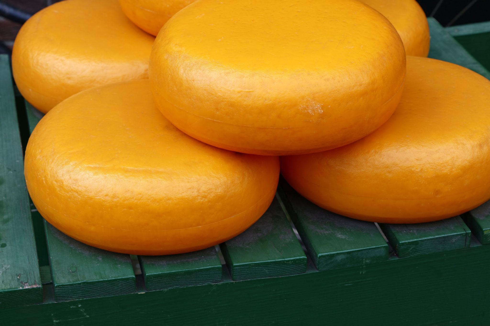 1 Grote kaas van 12 kilo