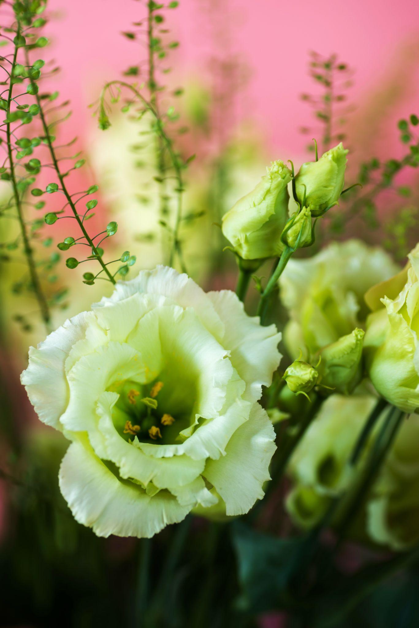 10 Emmers met Lisianthus t.w.v. € 400,00